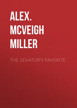 Alex. McVeigh Miller The Senator's Favorite обложка книги