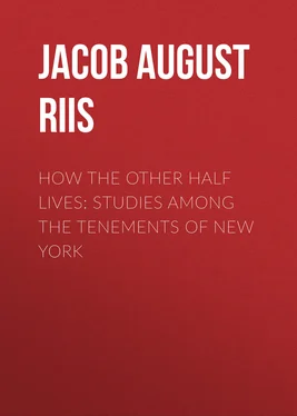 Jacob August Riis How the Other Half Lives: Studies Among the Tenements of New York обложка книги