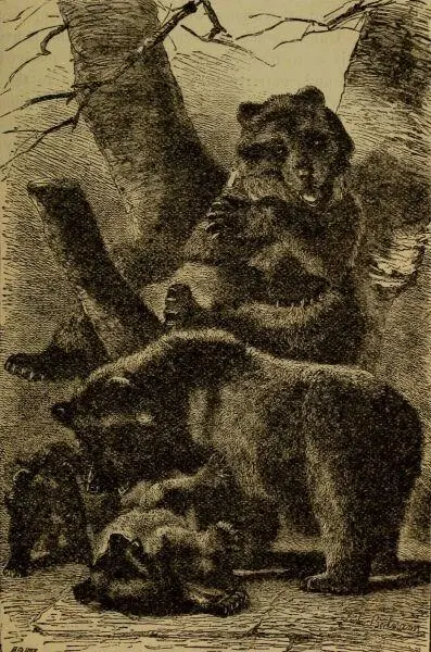 A FAMILYPARTY A hunter who had the misfortune to be struck down by a Bearand - фото 22