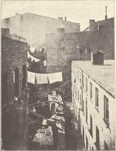 The Rear Tenement grows up An Alley condemned by the Council of Hygiene - фото 11