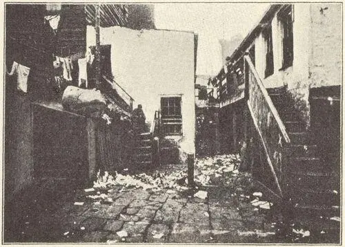 A Mulberry Bend Alley Flushed with the success of many victories we - фото 17