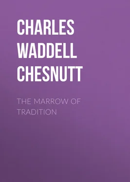 Charles Waddell Chesnutt The Marrow of Tradition обложка книги