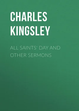 Charles Kingsley All Saints' Day and Other Sermons обложка книги
