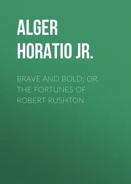 Horatio Alger Brave and Bold; Or, The Fortunes of Robert Rushton обложка книги