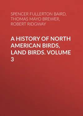 Spencer Fullerton Baird A History of North American Birds, Land Birds. Volume 3 обложка книги