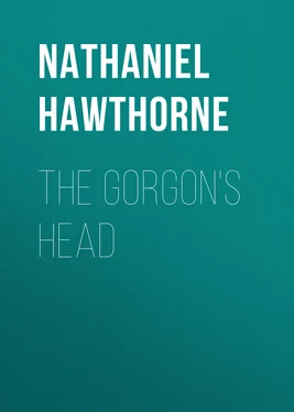 Nathaniel Hawthorne The Gorgon's Head обложка книги