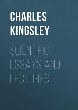 Charles Kingsley Scientific Essays and Lectures обложка книги