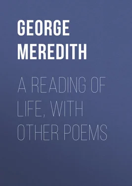 George Meredith A Reading of Life, with Other Poems обложка книги
