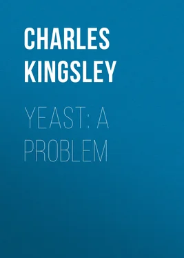 Charles Kingsley Yeast: a Problem обложка книги