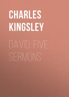 Charles Kingsley David: Five Sermons обложка книги