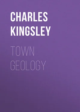 Charles Kingsley Town Geology обложка книги