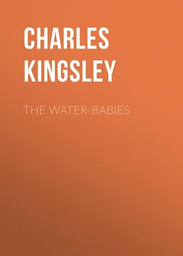 Charles Kingsley The Water-Babies обложка книги