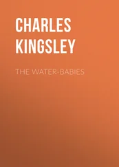 Charles Kingsley - The Water-Babies