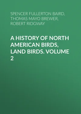 Spencer Fullerton Baird A History of North American Birds, Land Birds. Volume 2 обложка книги