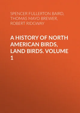 Robert Ridgway A History of North American Birds, Land Birds. Volume 1 обложка книги