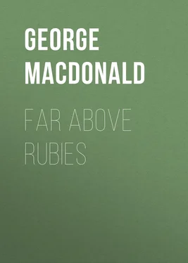 George MacDonald Far Above Rubies обложка книги