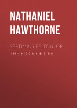 Nathaniel Hawthorne Septimius Felton, or, the Elixir of Life обложка книги
