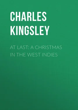 Charles Kingsley At Last: A Christmas in the West Indies