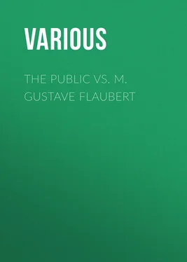 Various The Public vs. M. Gustave Flaubert обложка книги