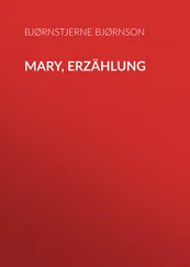 Bjørnstjerne Bjørnson - Mary, Erzählung