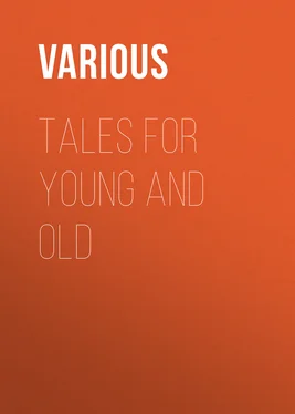 Various Tales for Young and Old обложка книги