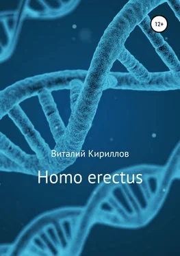 Виталий Кириллов Homo erectus обложка книги