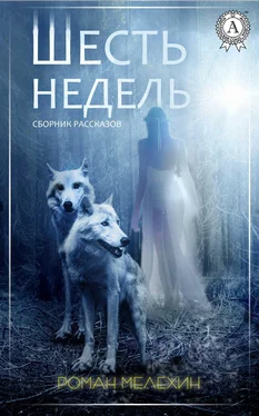 Роман Мелехин Шесть недель обложка книги