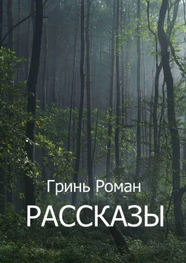 Роман Гринь Рассказы обложка книги