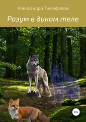 Александра Тимофеева - Разум в диком теле