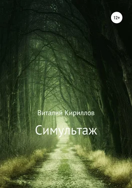 Виталий Кириллов Симультаж обложка книги