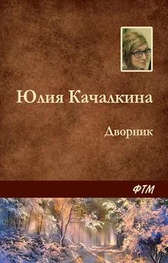 Юлия Качалкина Дворник обложка книги