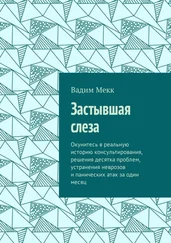 Вадим Мекк - Застывшая слеза. Окунитесь в реальную историю консультирования, решения десятка проблем, устранения неврозов и панических атак за один месяц