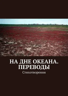 Виктор Балдоржиев На дне океана. Переводы. Стихотворения обложка книги