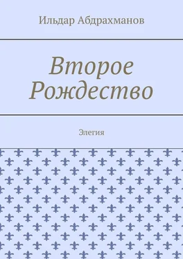 Ильдар Абдрахманов Второе Рождество. Элегия обложка книги