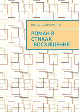 Ильдар Абдрахманов Роман в стихах «Восхищение» обложка книги