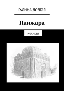 Галина Долгая Панжара. Рассказы обложка книги