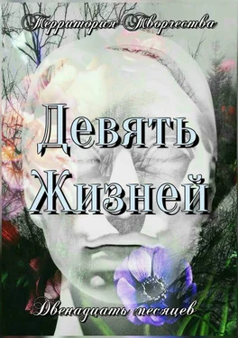 Валентина Спирина Девять жизней. Двенадцать месяцев обложка книги