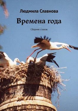 Людмила Славнова Времена года. Сборник стихов обложка книги