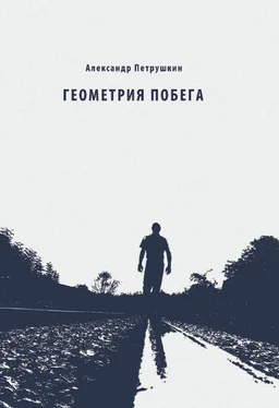 Александр Петрушкин Геометрия побега. Стихотворения обложка книги