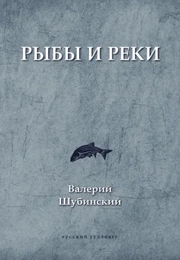 Валерий Шубинский Рыбы и реки обложка книги