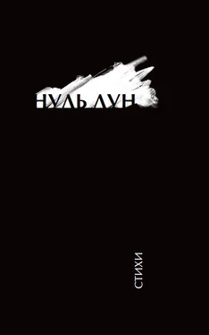 Коллектив авторов Нуль Лун обложка книги