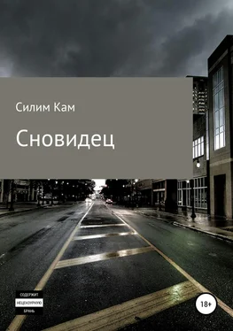 Силим Кам Сновидец обложка книги