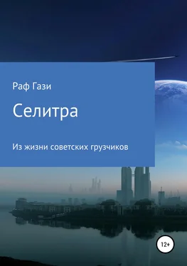 Рафаэль Миргазизов Селитра обложка книги