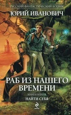 Юрий Иванович Раб из нашего времени. Книги 1 -7 (СИ) обложка книги