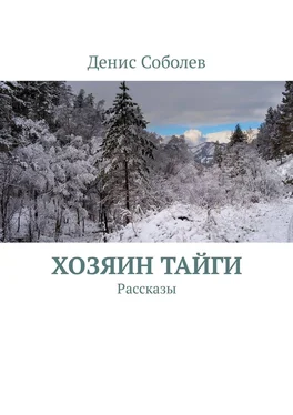 Денис Соболев Хозяин тайги. Рассказы обложка книги