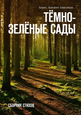 Борис Анисимов Тёмно-зелёные сады. Сборник стихов обложка книги