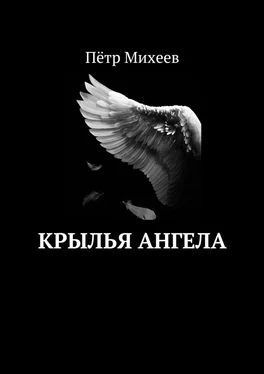 Пётр Михеев Крылья ангела обложка книги