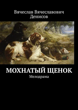 Вячеслав Денисов Мохнатый щенок. Мелодрама обложка книги