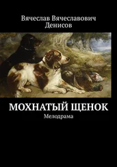 Вячеслав Денисов - Мохнатый щенок. Мелодрама