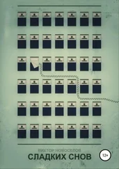 Виктор Новоселов - Сладких снов